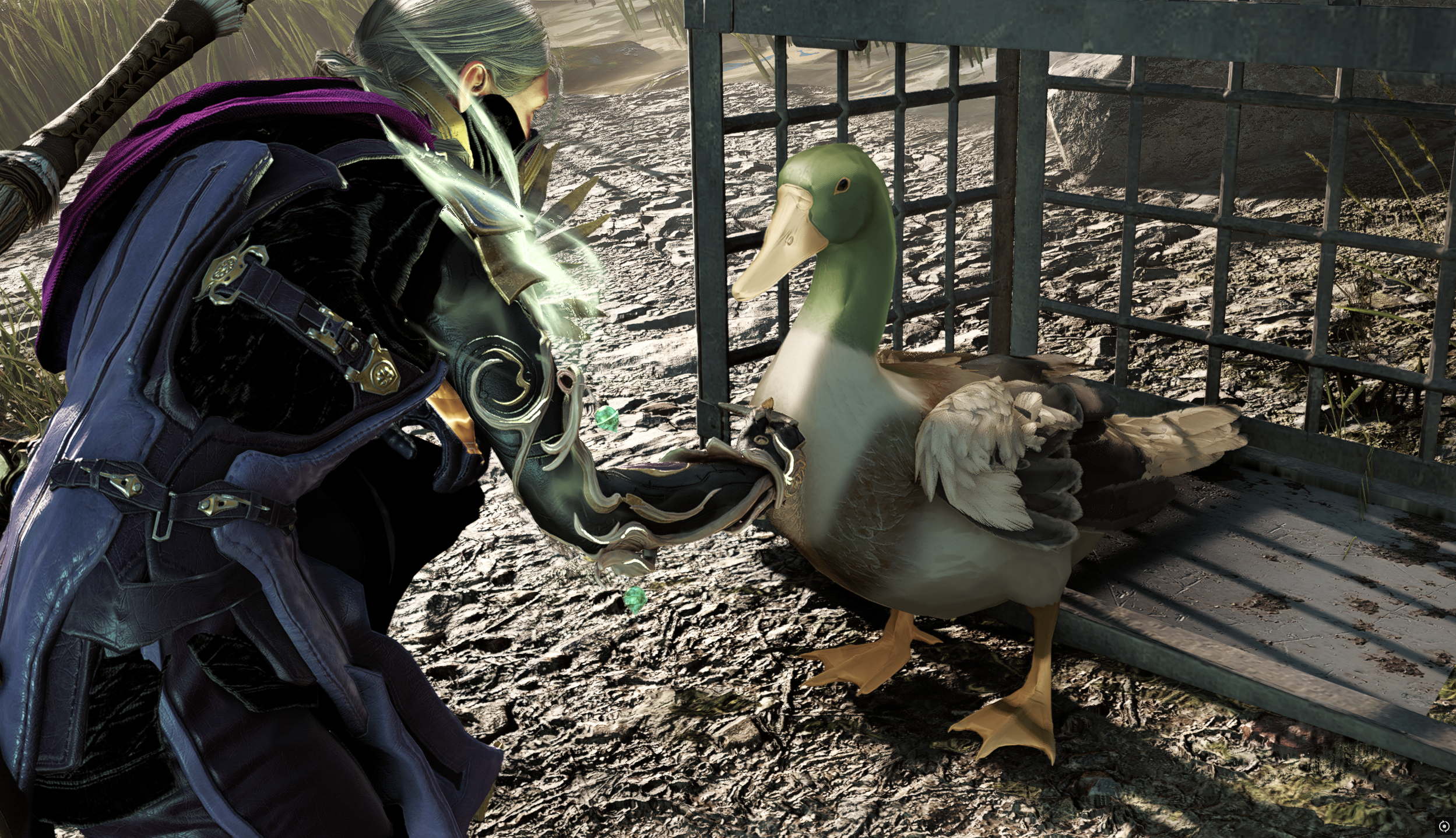 My player petting a freed duck.